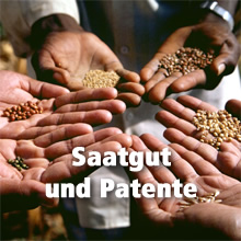Saatgut und Patente