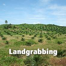 Landgrabbing; Foto: Angela Sevin/flickr.com