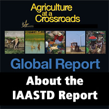 About the IAASTD Report