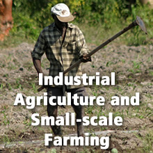 Industrial Agriculture and Small-scale Farming
