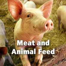 Meat and Animal Feed