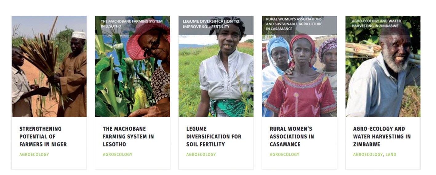 Figure 3: A screenshot of agroecology practice case studies at the African Food Sovereignty Alliances Website. Figure 3: A screenshot of agroecology practice case studies at the African Food Sovereignty Alliances Website.