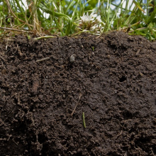 Boden - ein Speicher (NRCS Soil Health/Flickr.com)
