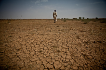 Lebensgrundlage Boden: Hier fällt die Ernte mager aus (Foto: Pablo Tosco/Oxfam)
