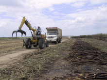 Brasilien: Zuckerrohr soweit das Auge reicht Foto: Cut Cane, John McQuaid, https://bit.ly/3JBK4j1, https://creativecommons.org/licenses/by-nc/2.0/