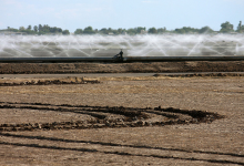 Getreide im Wüstenstaat Arizona schluckt mehr Wasser als in Bayern (Foto: cobalt123)