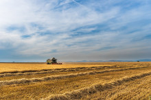 US-Landwirte ernähren nicht die Hungernden (Foto: CC0)