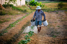 Wasser - nicht wegzudenken aus der Landwirtschaft (Foto: CC0)