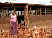 Kleinbäuerliche Hühnerhaltung in Uganda (Foto: Bread for the World/flickr.com)