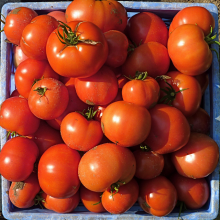 Wem gehört die Tomate? (Foto: Normanack/flickr.com)