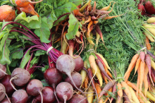 Bio kann die Welt ernähren (Foto: CC0)