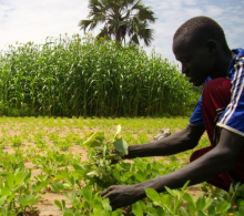 Bauer im Südsudan (Foto: Abdullah Ampilan/Oxfam)
