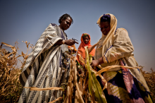 Dürren beeinträchtigen bereits die Erträge in vielen Ländern (Foto: Oxfam International)