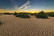 Häufige Dürren können zu Bodendegradation beitragen (Foto: CC0)