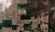 Abholzung für die Tierzucht in Paraguay (Foto: European Space Agency)