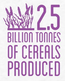 Source: FAO