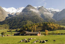 Hof in Österreich (Foto: Tom Kelly/Flickr.com)