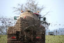 Zu viel Dünger kommt v.a. in Regionen mit intensiver Tierhaltung aufs Feld (Foto: CC0)