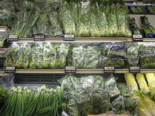 Endstation Müll: 68% der Salate werden nie gegessen (Foto: Globalism Pictures)