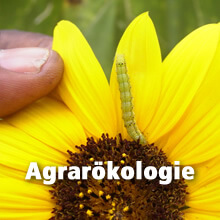 Agrarökologie