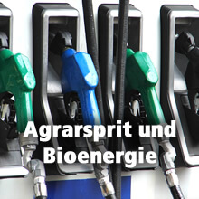 Agrarsprit und Bioenergie