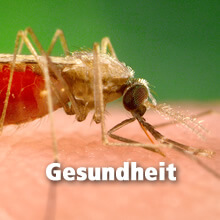 Gesundheit
